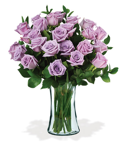 24 Lavender Long-Stem Roses