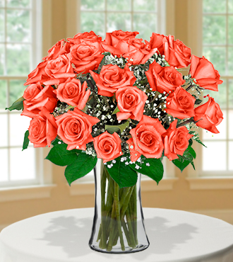 24 Orange Roses