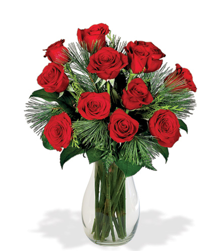 24 Red Holiday Roses