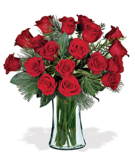18 Red Holiday Roses