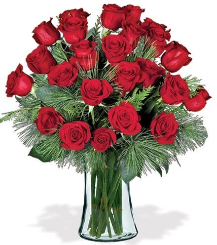 24 Red Holiday Roses