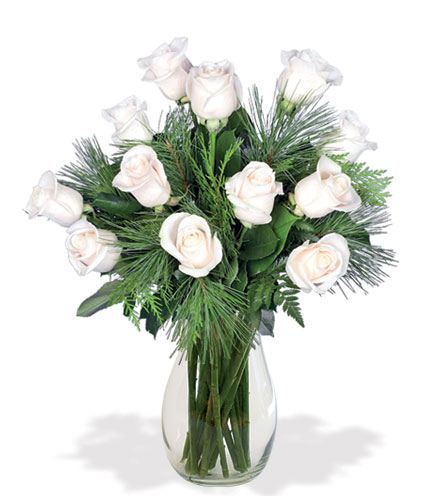 12 White Holiday Roses