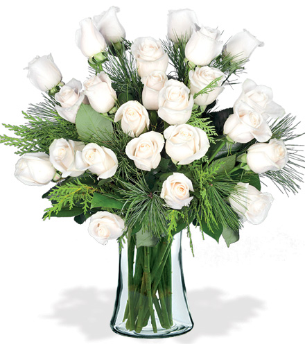 24 White Holiday Roses