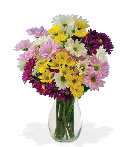 Image of Daisy Smiles Bouquet Flower Delivery