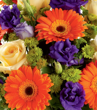 Image of Florist Choice - Multi-Color Flower Delivery