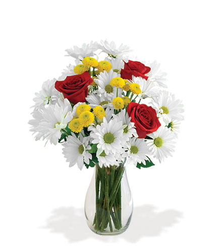 Image of Dash of Daisy Bouquet Flower Delivery