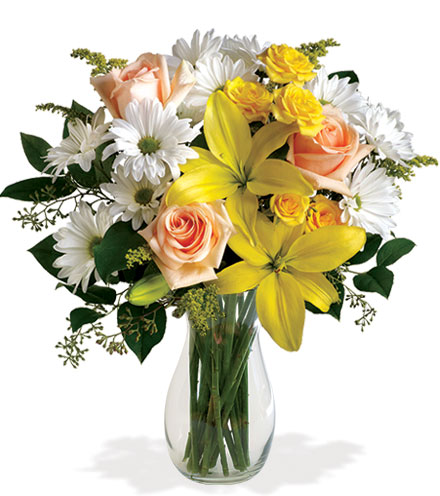 Image of Daisies and Sunbeams Flower Delivery