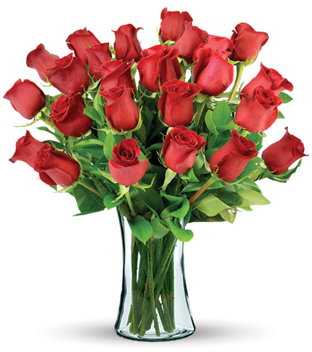 24 Red Long-Stem Roses Bouquet Flower Delivery