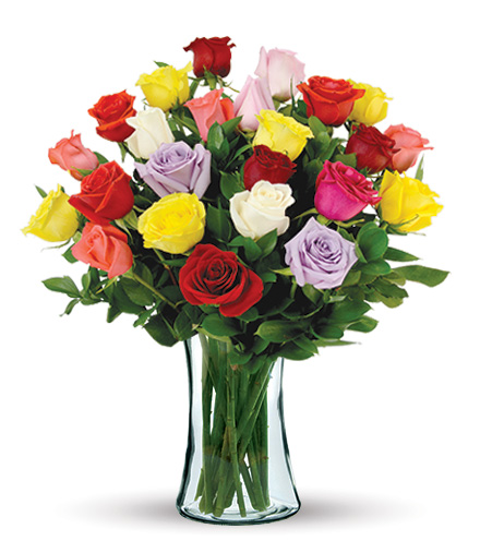 Image of 24 Multi-Color Long-Stem Roses Bouquet Flower Delivery