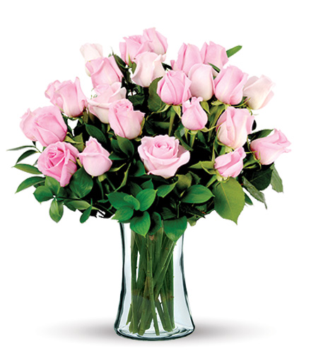 Image of 24 Pink Long-Stem Roses Bouquet Flower Delivery