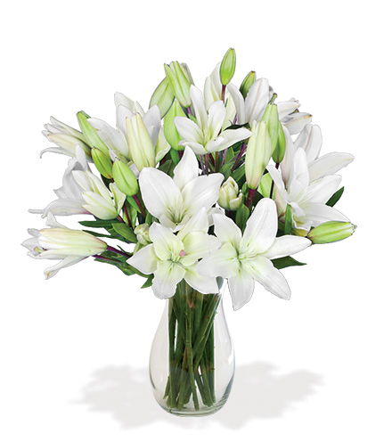 White Classic Lily Bouquet Flower Delivery