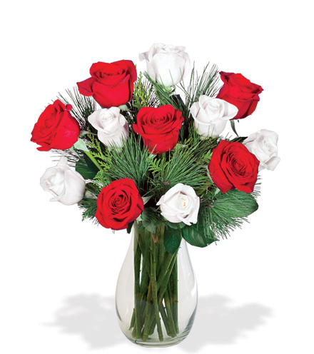 Image of Red & White Holiday Roses Bouquet Flower Delivery