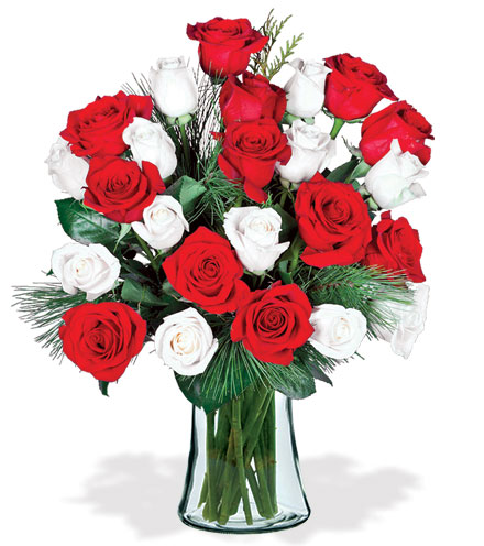 Red & White Holiday Roses Bouquet Flower Delivery﻿