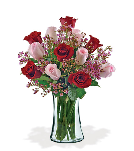 Image of 12 Ultimate Elegance Roses Bouquet Flower Delivery