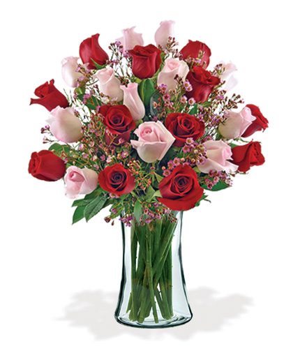 Image of 24 Ultimate Elegance Roses Bouquet Flower Delivery